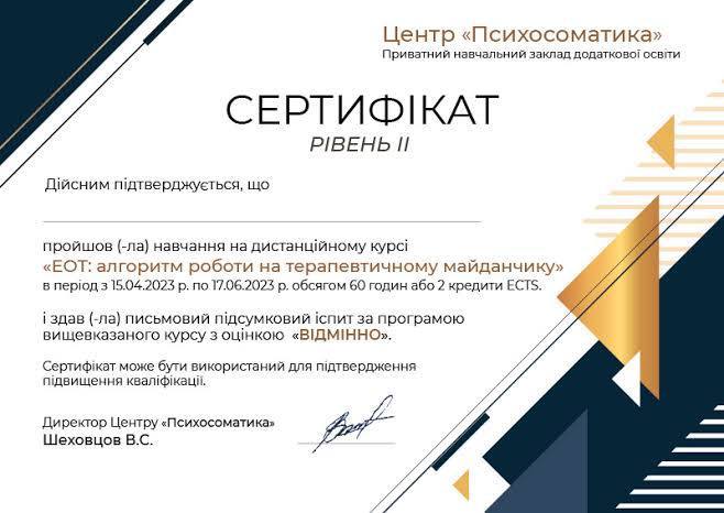ЕОТ: робота на терапевтичному майданчику · 60 год
